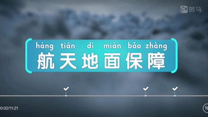斑马百科 13. évad Ep.12 12. epizód