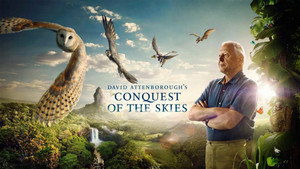 David Attenborough's Conquest of the Skies 3D kép