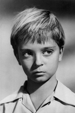 Tommy Rettig profil kép