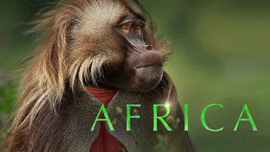 A varázslatos Afrika kép