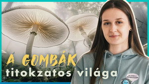 Világjegy 2. évad Ep.10 A HÁLÓZAT, ami mindent átsző a LÁBUNK ALATT