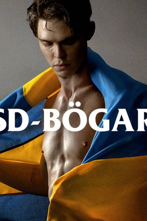 SD-Bögar poszter