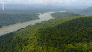 Destination Wild: India kép