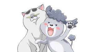 犬と猫どっちも飼ってると毎日たのしい kép