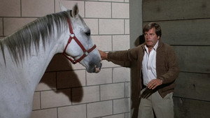 Hart to Hart 3. évad Ep.9 9. epizód