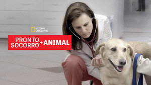 Animal ER kép