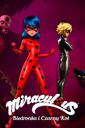 Miraculous Katicabogár és Fekete Macska kalandjai poszter