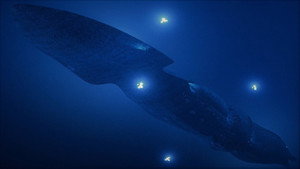 SeaQuest - A mélység birodalma kép