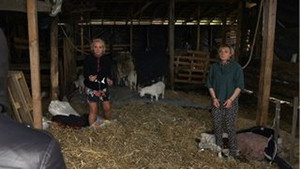 Moterys meluoja geriau 8. évad Ep.40 40. epizód