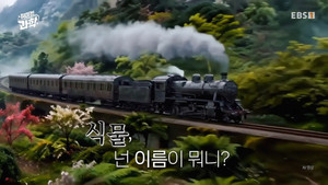 취미는 과학 1. évad Ep.90 90. epizód