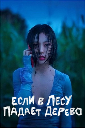 Ha kidől egy fa az erdőben... poszter