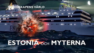 Vetenskapens värld 49. évad Ep.29 29. epizód