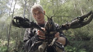 Jeremy Wade - sötét vizeken 1. évad Ep.5 5. epizód