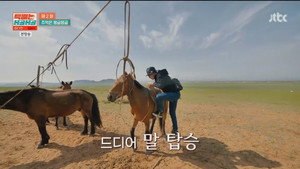 택배는 몽골몽골 1. évad Ep.2 2. epizód