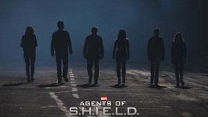 A S.H.I.E.L.D. ügynökei kép