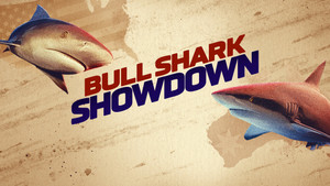 Shark Week 38. évad Ep.18 18. epizód