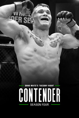 Dana White's Contender Series 4. évad (2020-08-04) poszter