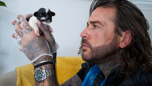 Pete Wicks: For Dogs’ Sake 1. évad Ep.2 2. epizód