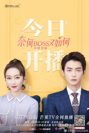 奈何BOSS又如何 poszter