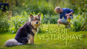 Søren Vesters have kép