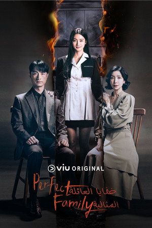 완벽한 가족 poszter