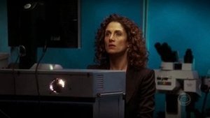 CSI: New York-i helyszínelők 1. évad Ep.17 A bukás