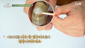 집밥 백선생 3. évad Ep.15 15. epizód