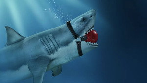 Shark Lords kép