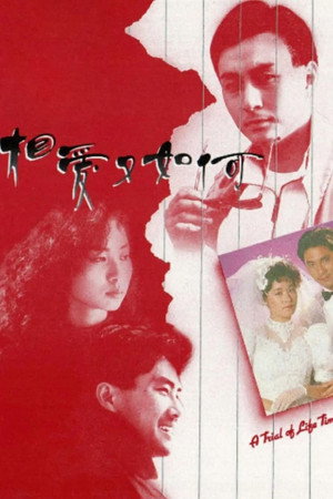 相愛又如何 1. évad (1989-06-12) poszter