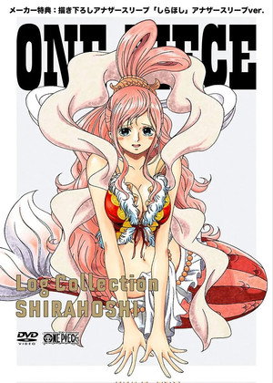 One Piece poszter