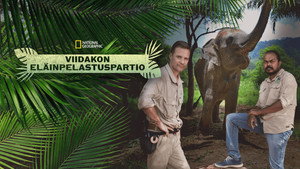 Jungle Animal Rescue kép