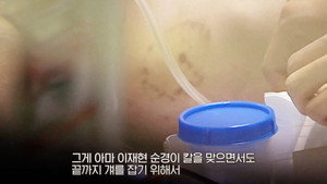 꼬리에 꼬리를 무는 그날 이야기 3. évad Ep.140 140. epizód