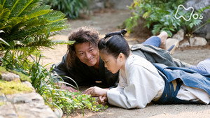 らんまん 1. évad Ep.8 8. epizód