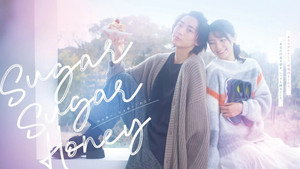 Sugar Sugar Honey kép