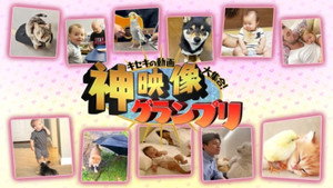 キセキの動画大集合！“神”映像グランプリ kép