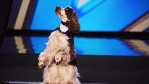 Britain's Got Talent 16. évad Ep.4 4. epizód