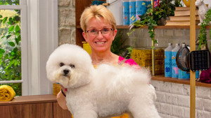 Pooch Perfect 1. évad Ep.6 6. epizód