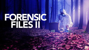 Forensic Files II kép