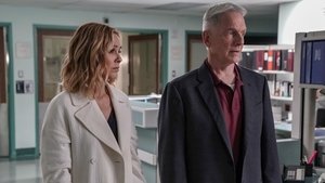 NCIS: Tengerészeti helyszínelők 16. évad Ep.24 Apák és lányok