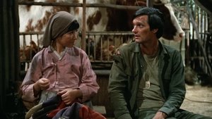 M*A*S*H 4. évad Ep.18 18. epizód