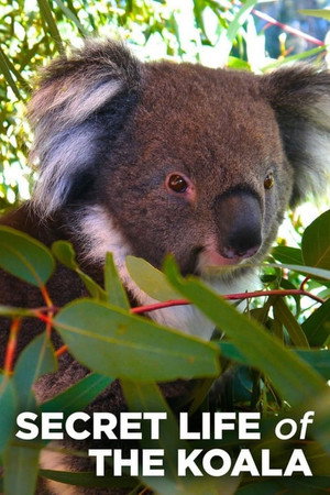 Secret Life of the Koala 1. évad (2016-07-26) poszter