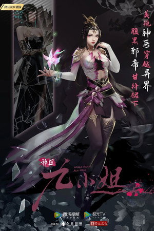 神医九小姐 poszter