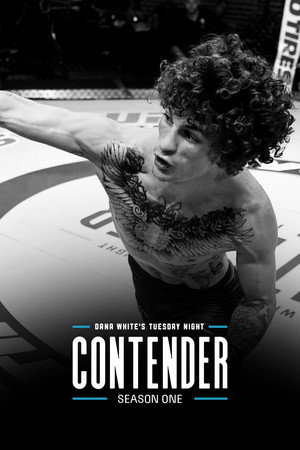 Dana White's Contender Series 1. évad (2017-07-11) poszter