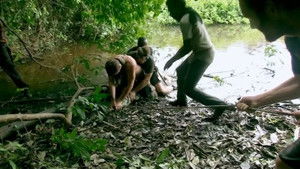 The Island with Bear Grylls 2. évad Ep.5 5. epizód