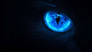 Eli Roth Presents: My Possessed Pet kép