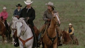 Heartland 2. évad Ep.4 4. epizód