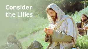 The Life of Jesus Christ 1. évad Ep.27 27. epizód
