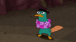 Phineas és Ferb 2. évad Ep.53 53. epizód