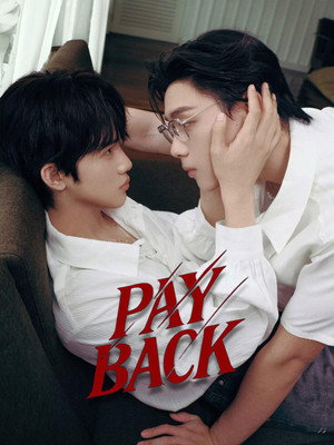 เพย์แบค เดอะซีรีส์ poszter