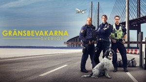 Határellenőrzés - Svédország kép